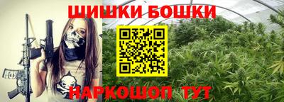 МДПВ Новодвинск