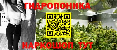 гашишное масло Новозыбков