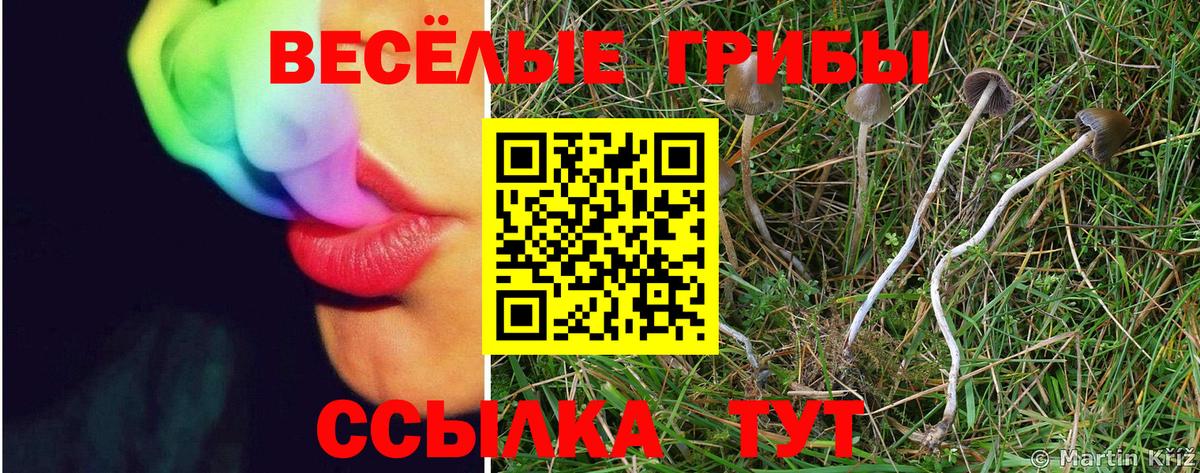 Красноперекопск  Галлюциногенные грибы мицелий  Галлюциногенные грибы Cubensis  Вход с VPN 