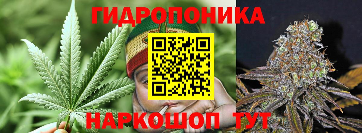 Марихуана Amnesia Красноперекопск
